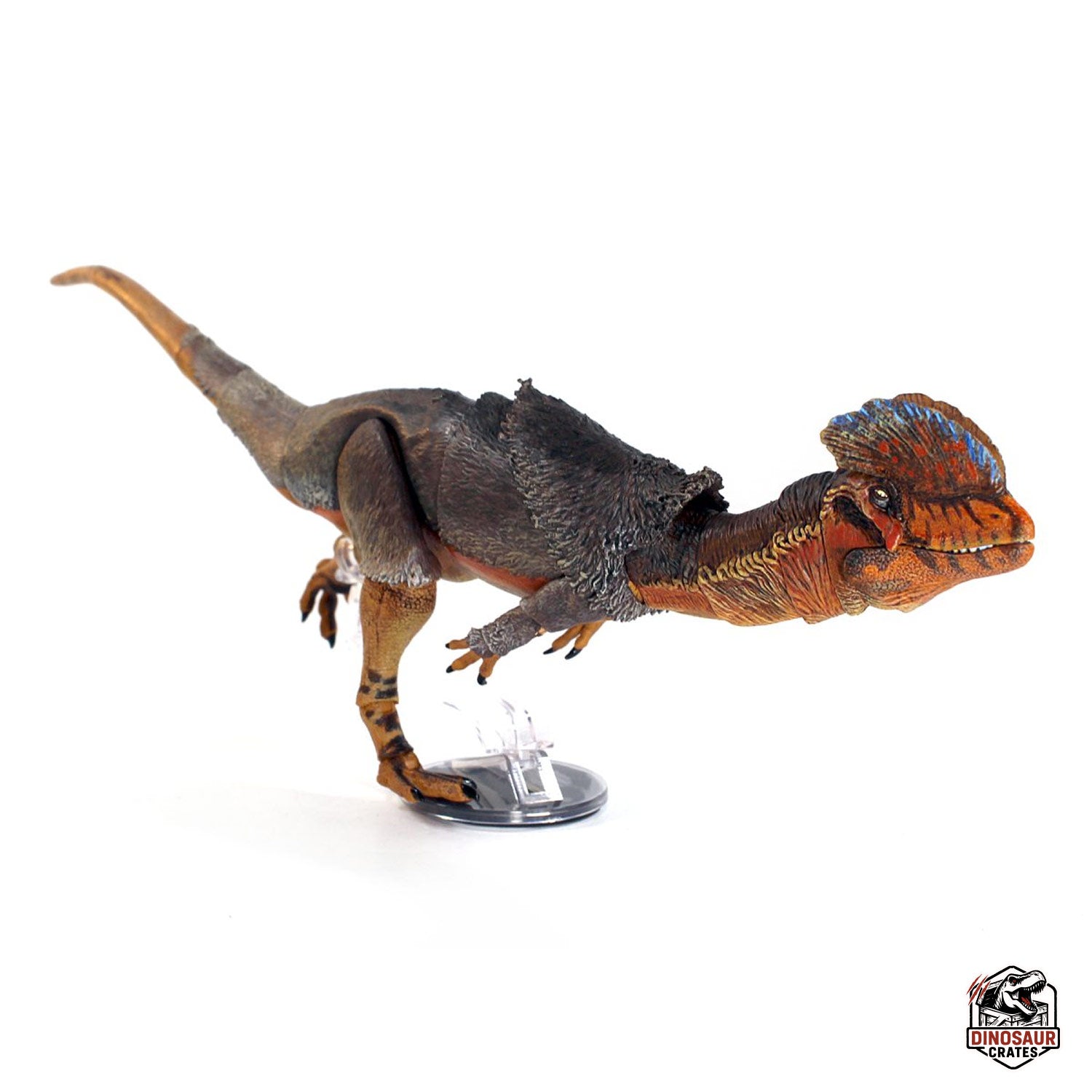Dilophosaurus wetherilli  – Cyberzoic (PREORDER)