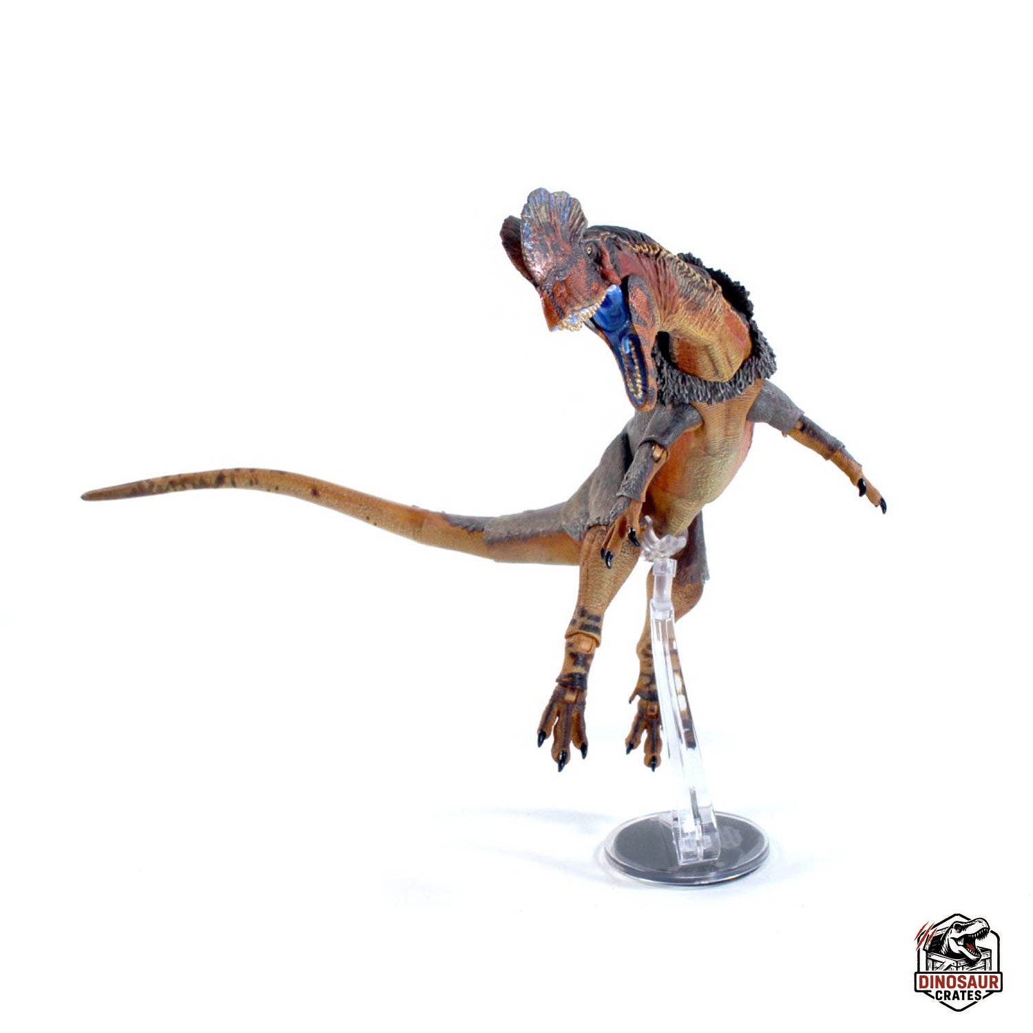 Dilophosaurus wetherilli  – Cyberzoic (PREORDER)