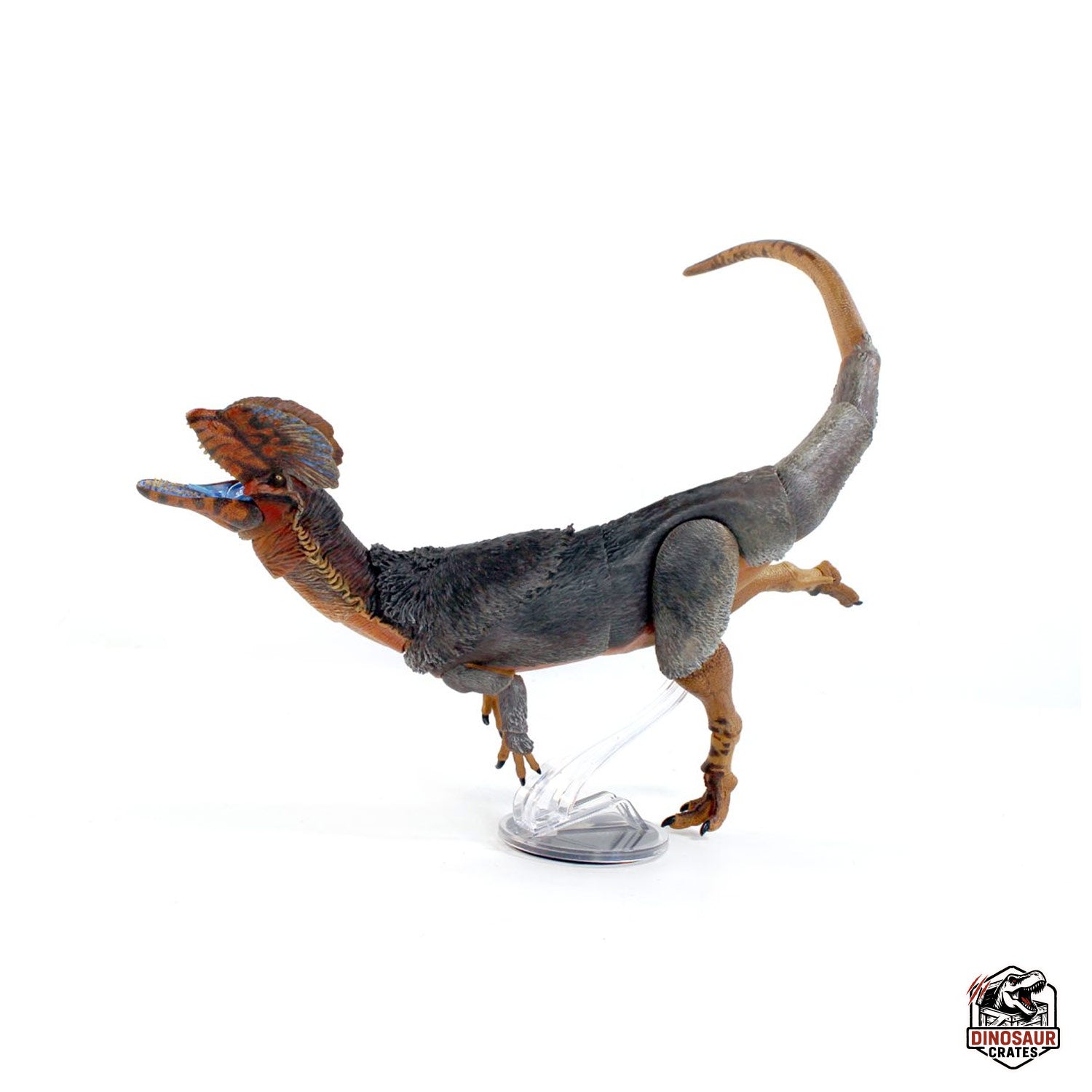 Dilophosaurus wetherilli  – Cyberzoic (PREORDER)