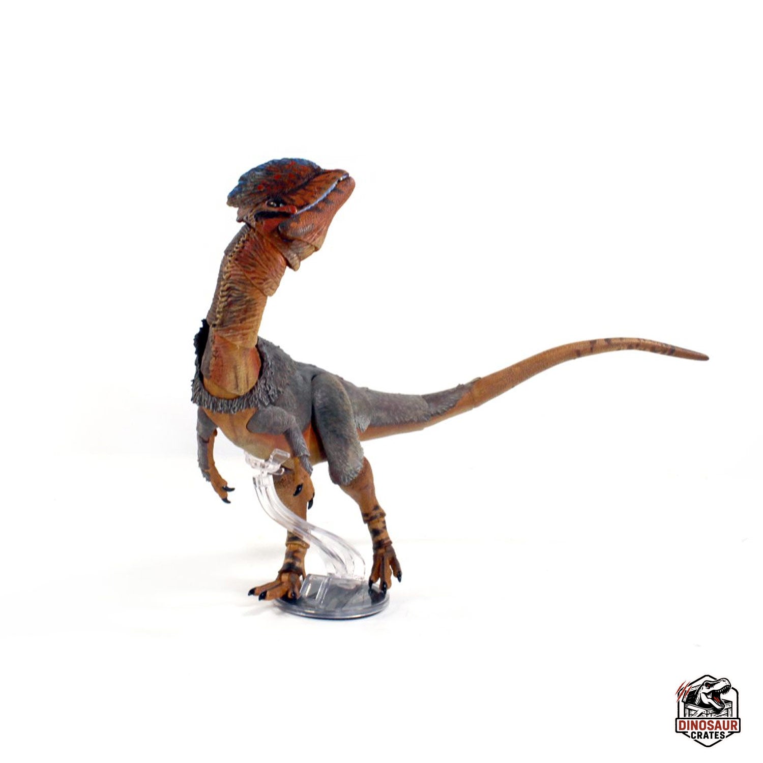 Dilophosaurus wetherilli  – Cyberzoic (PREORDER)