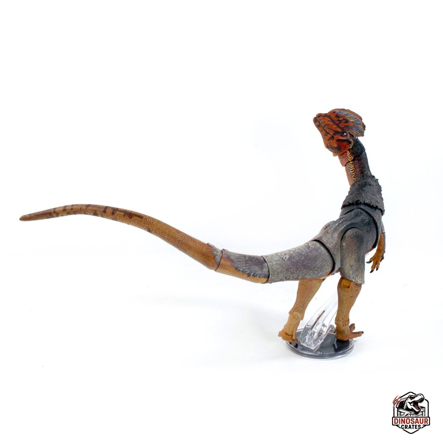Dilophosaurus wetherilli  – Cyberzoic (PREORDER)