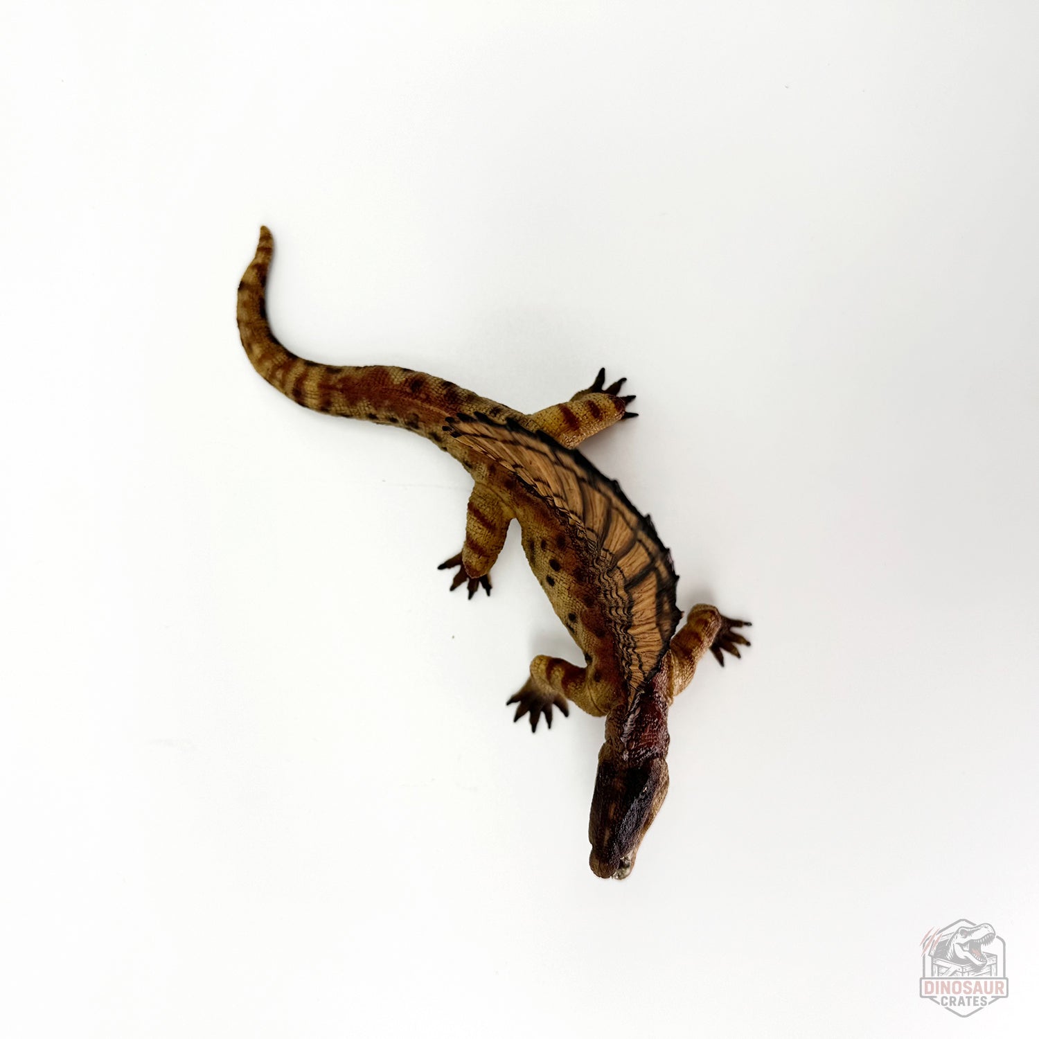 Papo Dimetrodon Figure