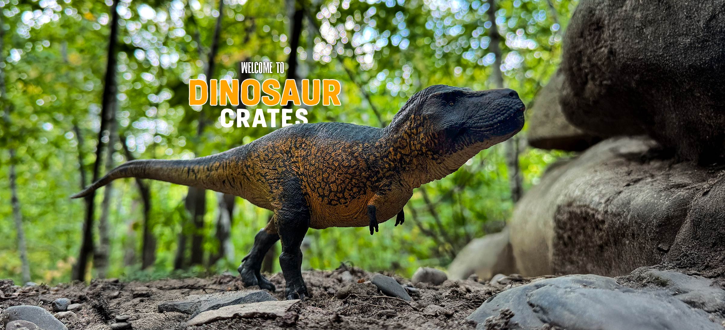 Eofauna Trex Sue Dinosaur toy standing on a rocky surface with trees in the background and 'Dinosaur Crates' text.