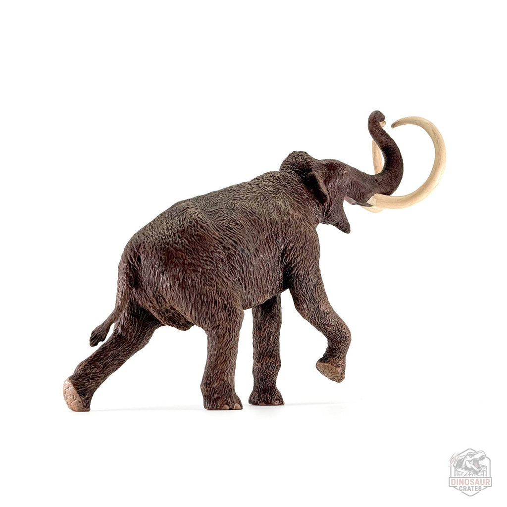 Eofauna Steppe Mammoth Figure