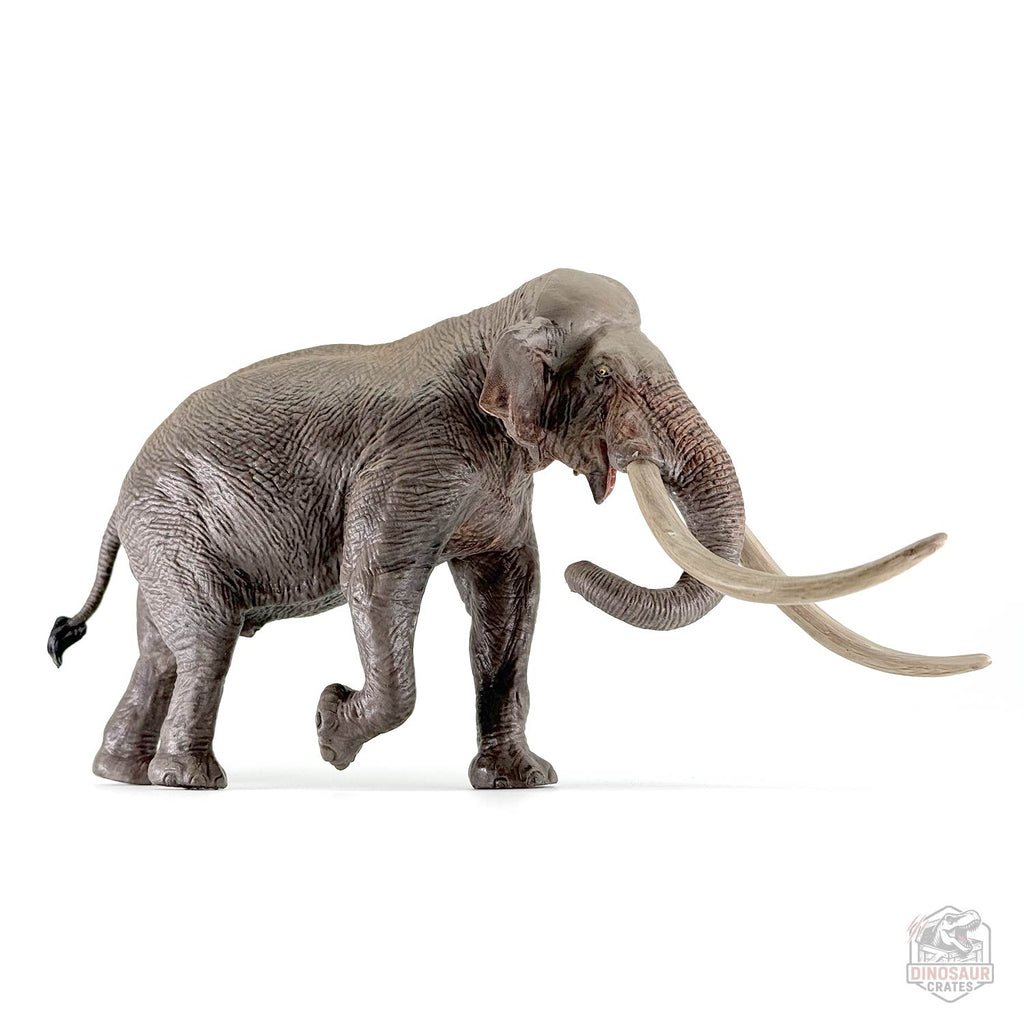 Eofauna Straight-tusked elephant Figure