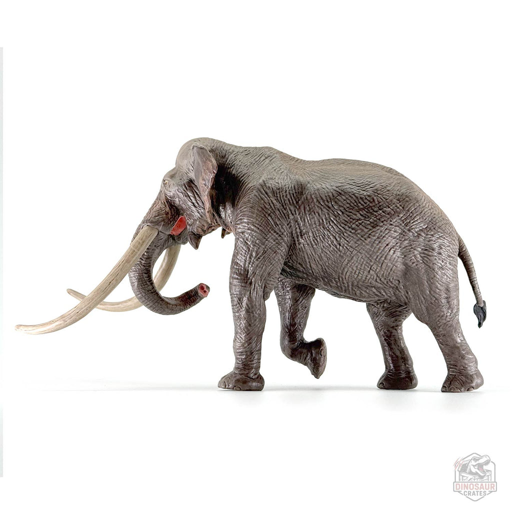 Eofauna Straight-tusked elephant Figure