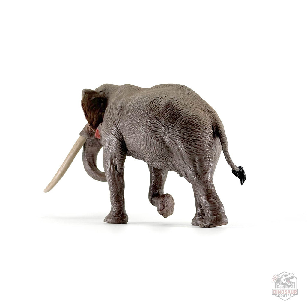 Eofauna Straight-tusked elephant Figure