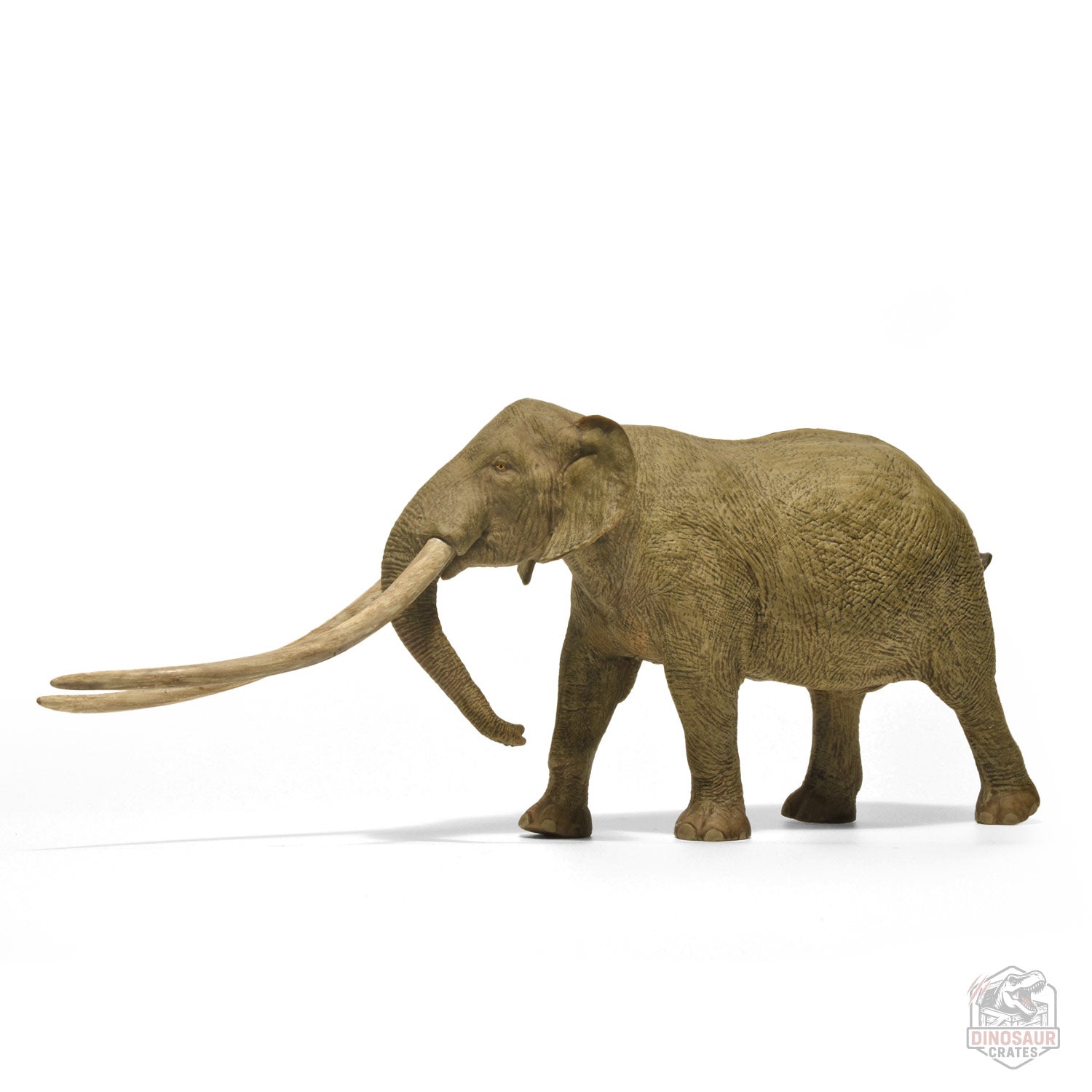 Eofauna Anancus Arvernensis Figure (PRE-SALE)