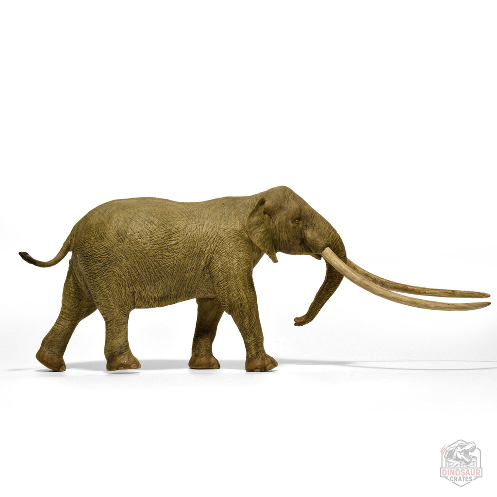 Eofauna Anancus Arvernensis Figure (PRE-SALE)