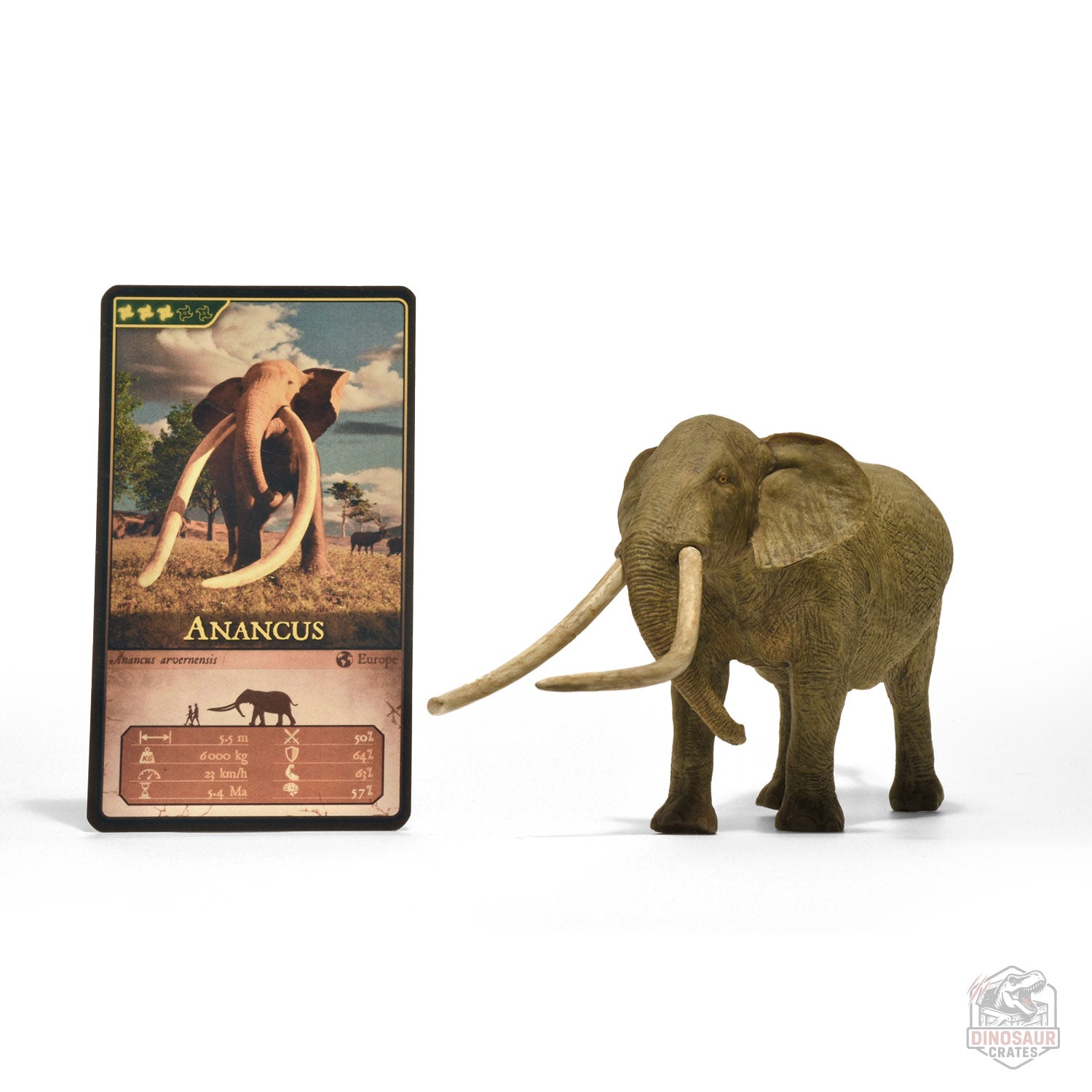 Eofauna Anancus Arvernensis Figure (PRE-SALE)