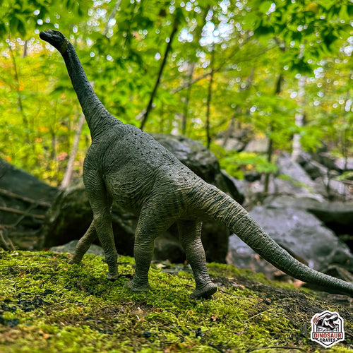 EoFauna Atlasaurus Dinosaur model standing on a mossy rock with a forest background