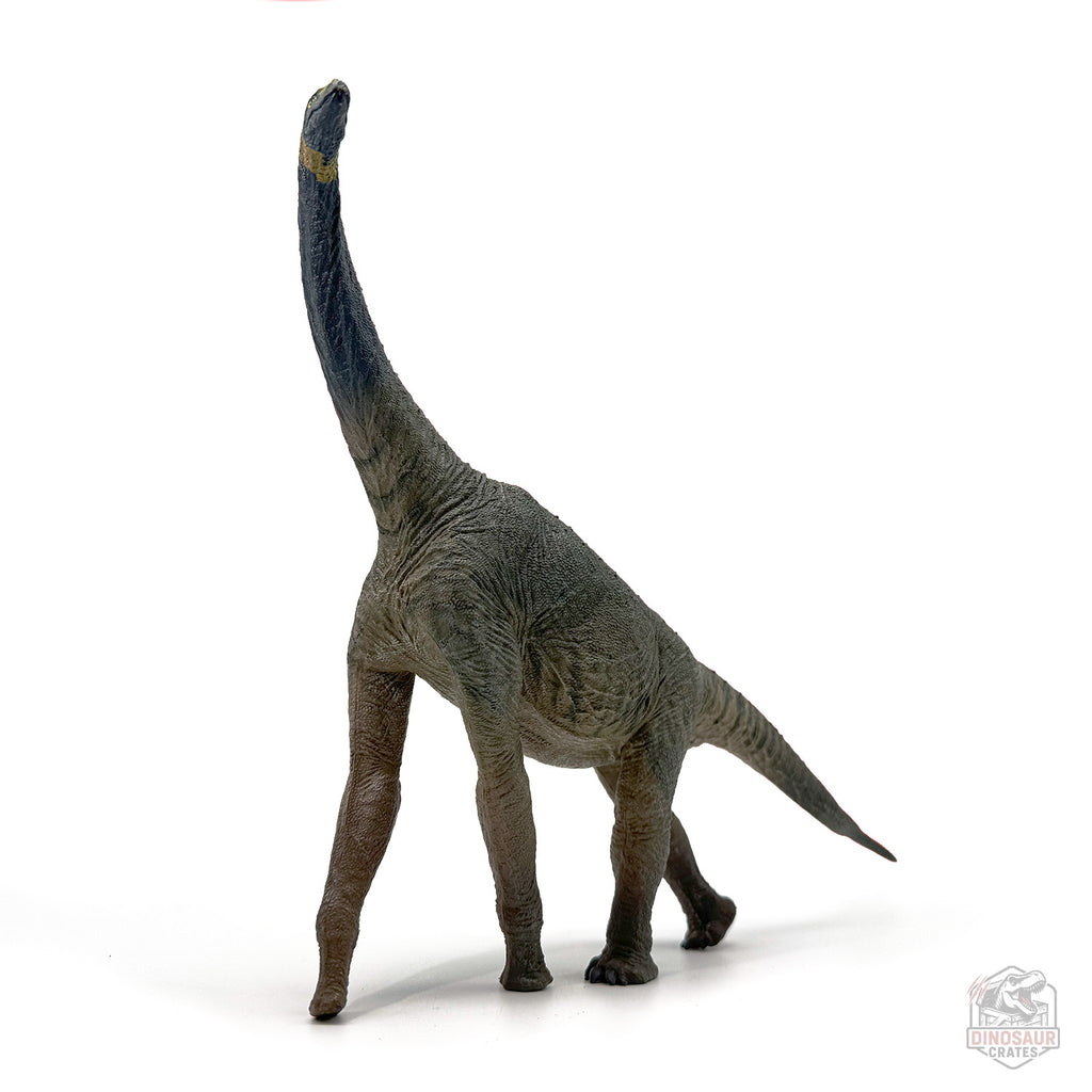 Eofauna Atlasaurus Dinosaur Figure