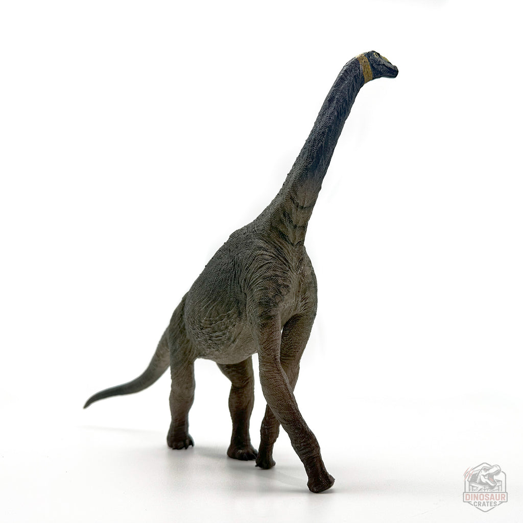 Eofauna Atlasaurus Dinosaur Figure