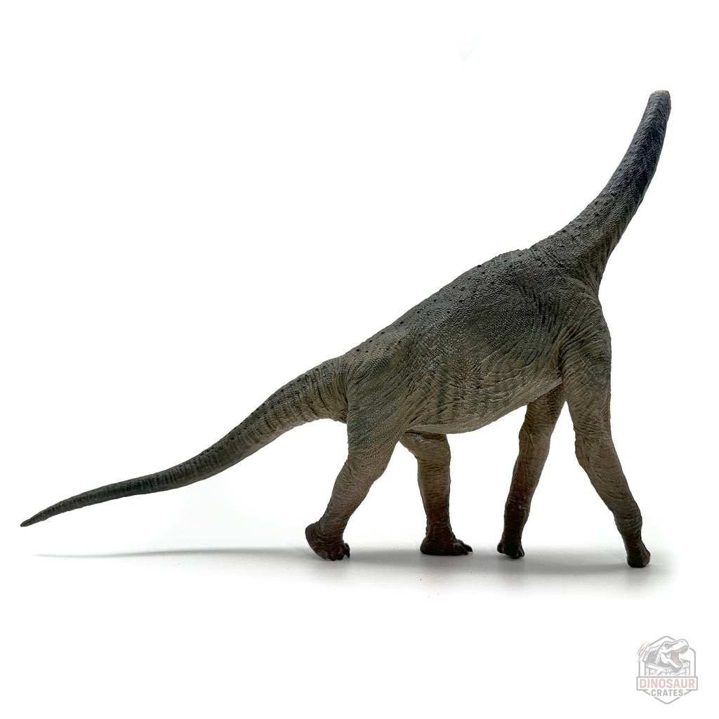 Eofauna Atlasaurus Dinosaur Figure