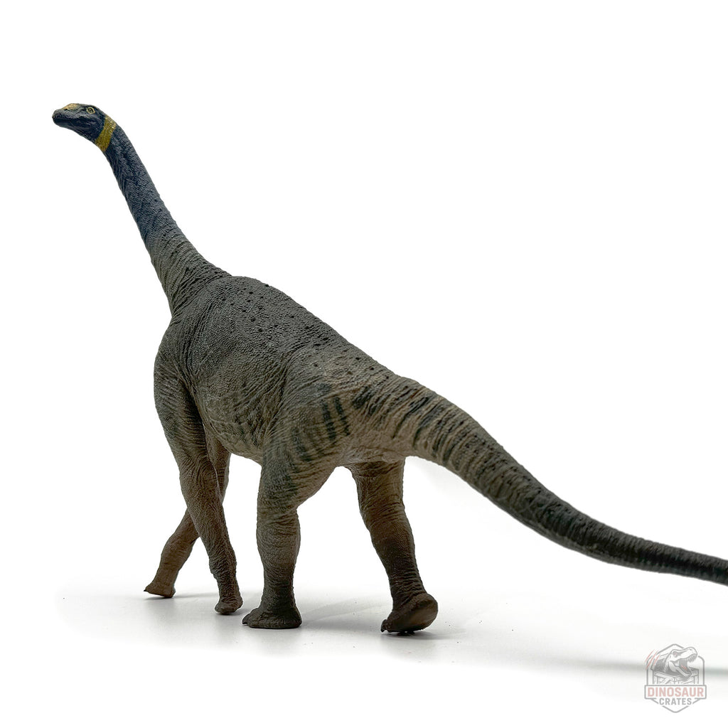 Eofauna Atlasaurus Dinosaur Figure