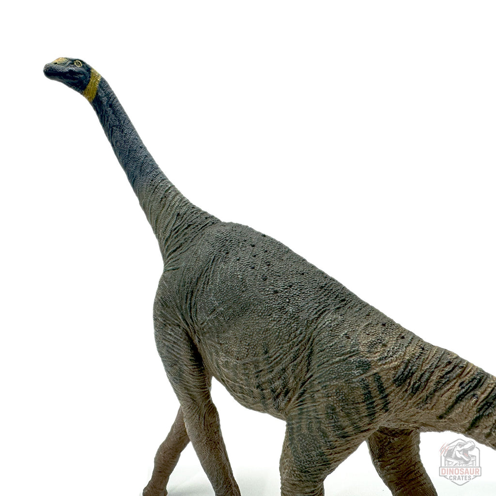 Eofauna Atlasaurus Dinosaur Figure
