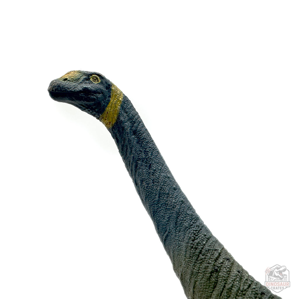Eofauna Atlasaurus Dinosaur Figure