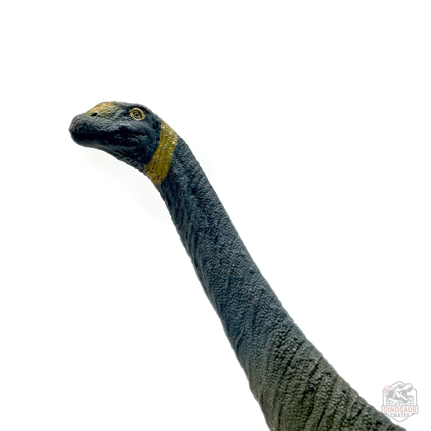 Eofauna Atlasaurus Dinosaur Figure