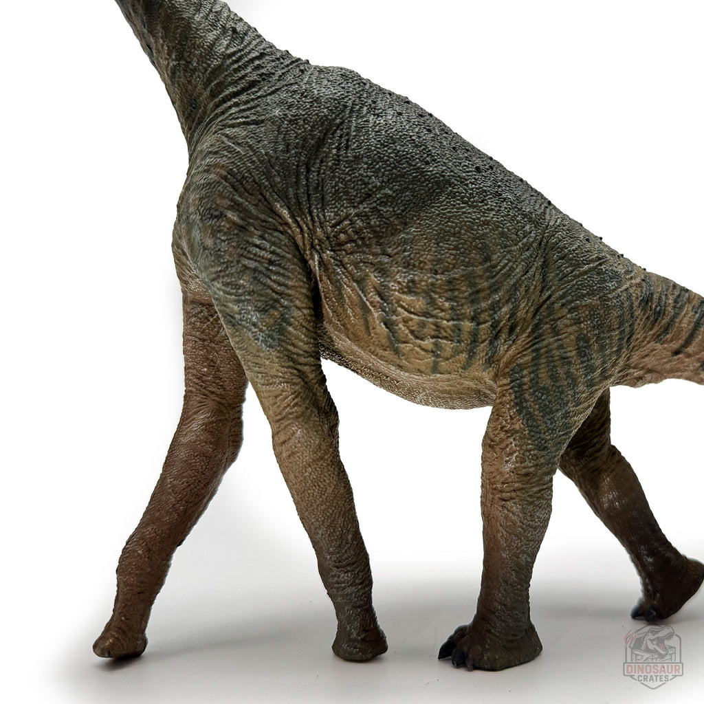 Eofauna Atlasaurus Dinosaur Figure