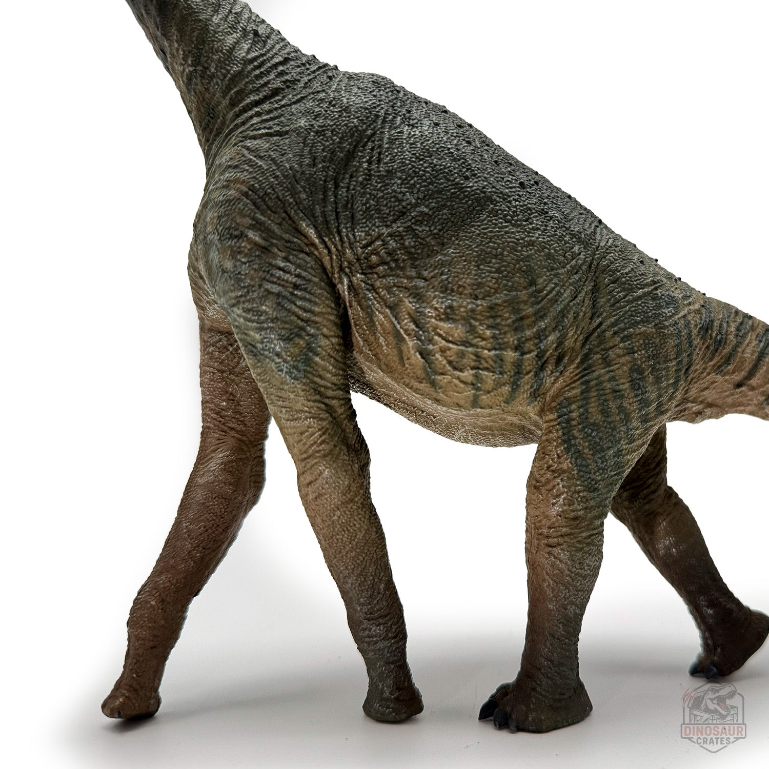 Eofauna Atlasaurus Dinosaur Figure