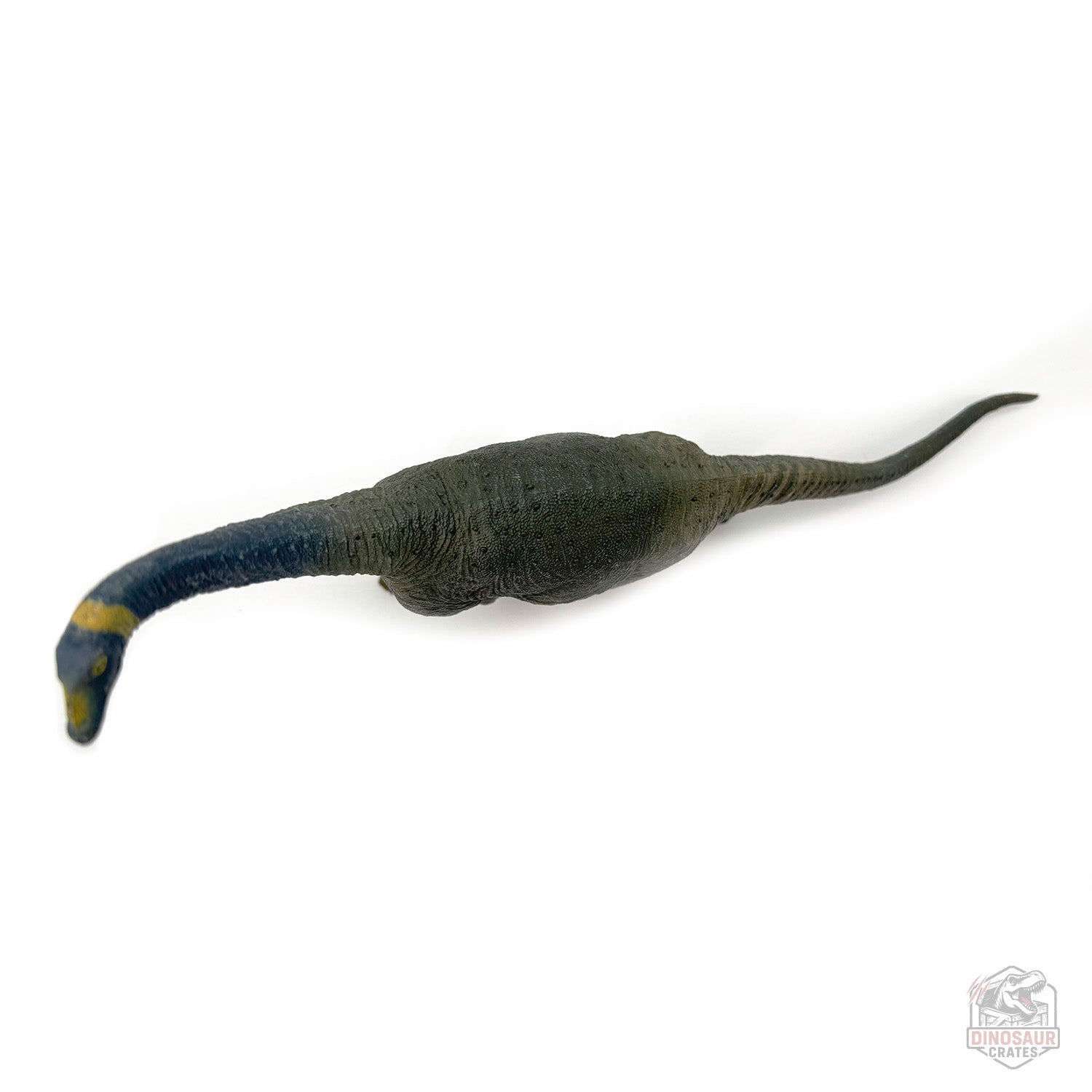 Eofauna Atlasaurus Dinosaur Figure