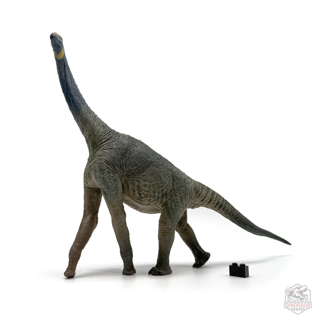 Eofauna Atlasaurus Dinosaur Figure