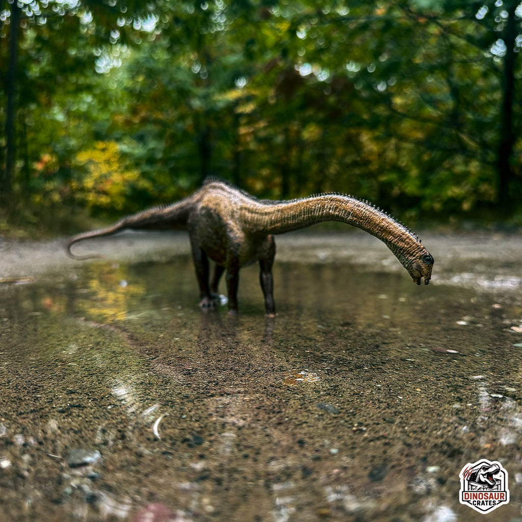 EoFauna Diplodocus dinosaur model standing on a wet surface with a forest background