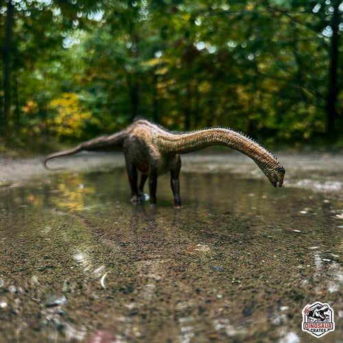 EoFauna Diplodocus dinosaur model standing on a wet surface with a forest background