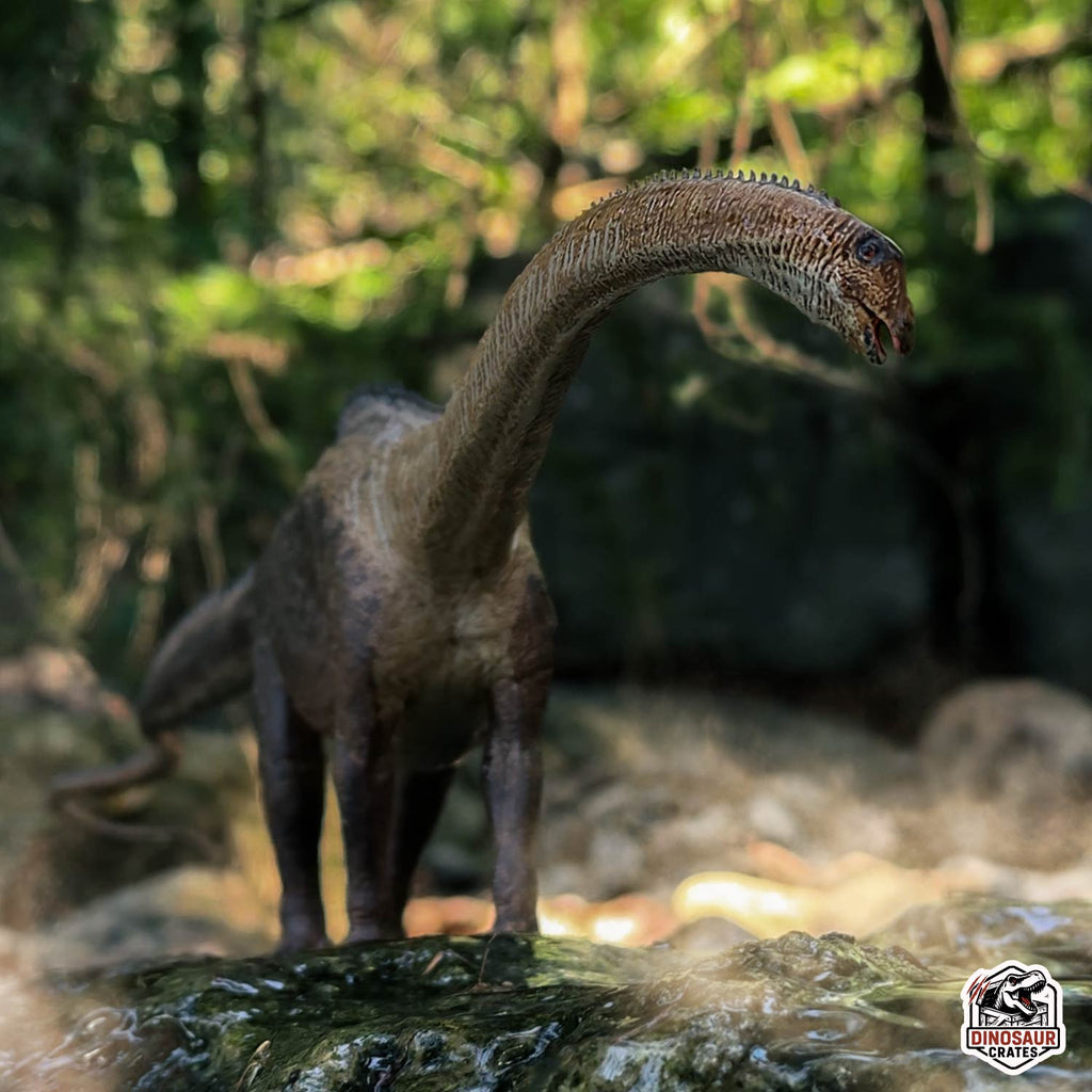 Figurine de diplodocus Eofauna