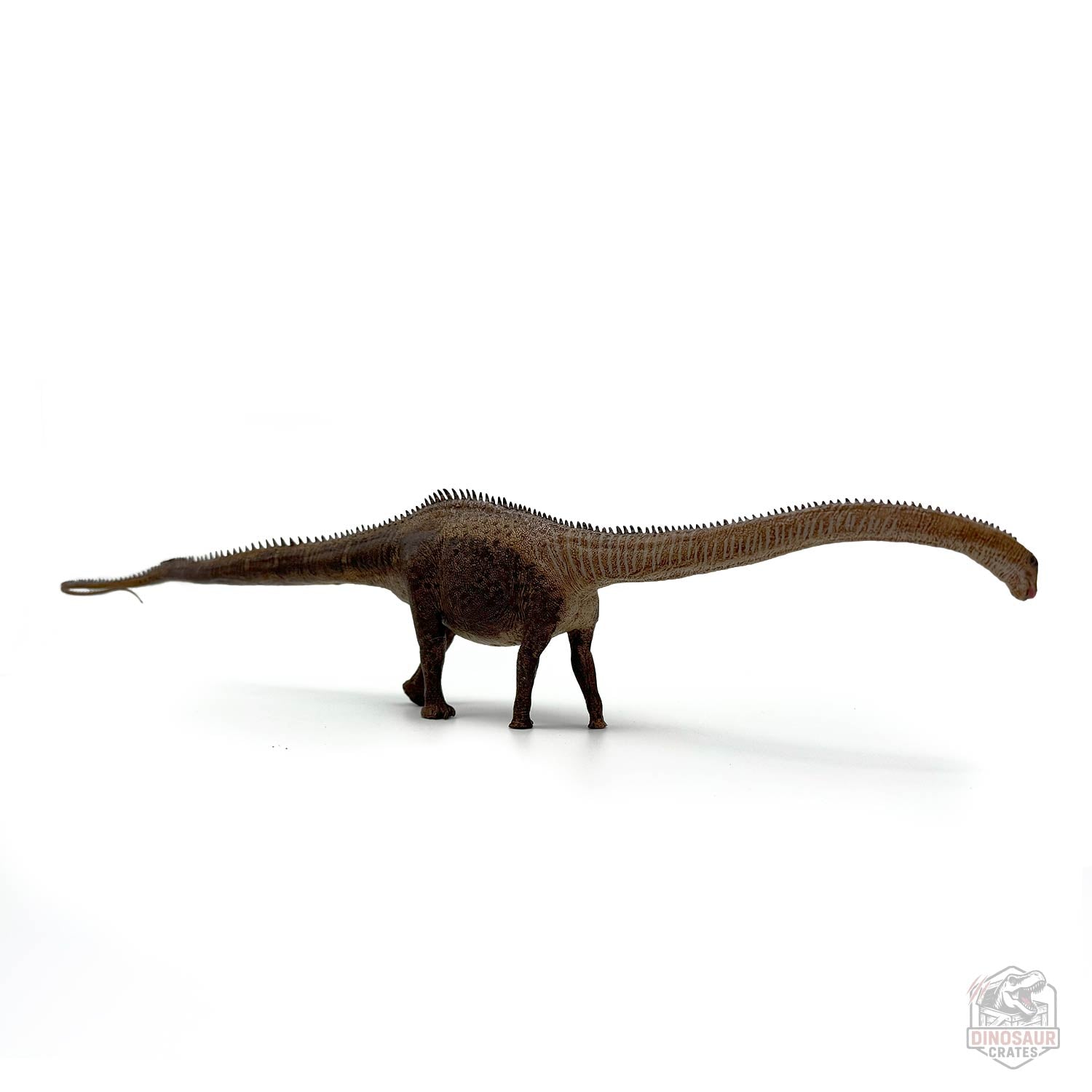 Eofauna Diplodocus Dinosaur Figure