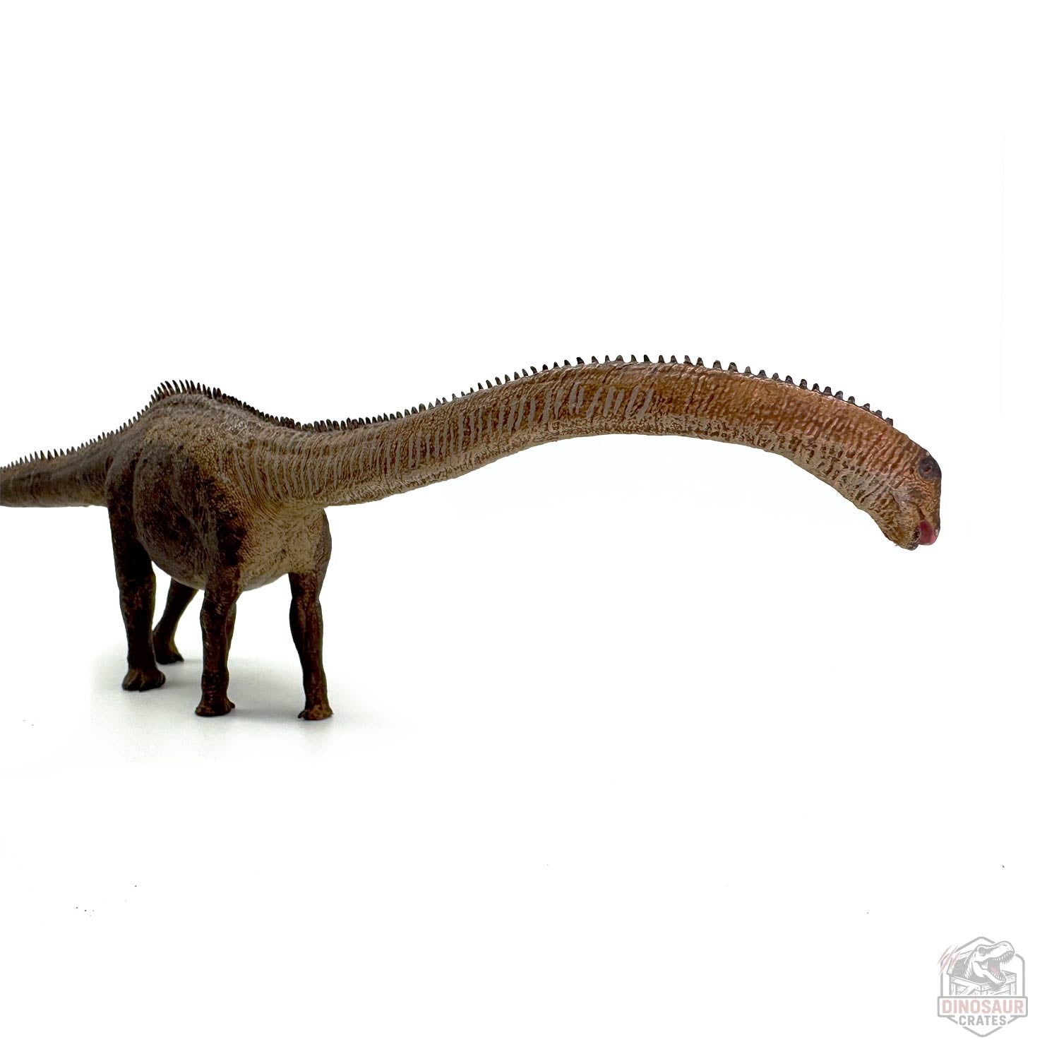 Eofauna Diplodocus Dinosaur Figure