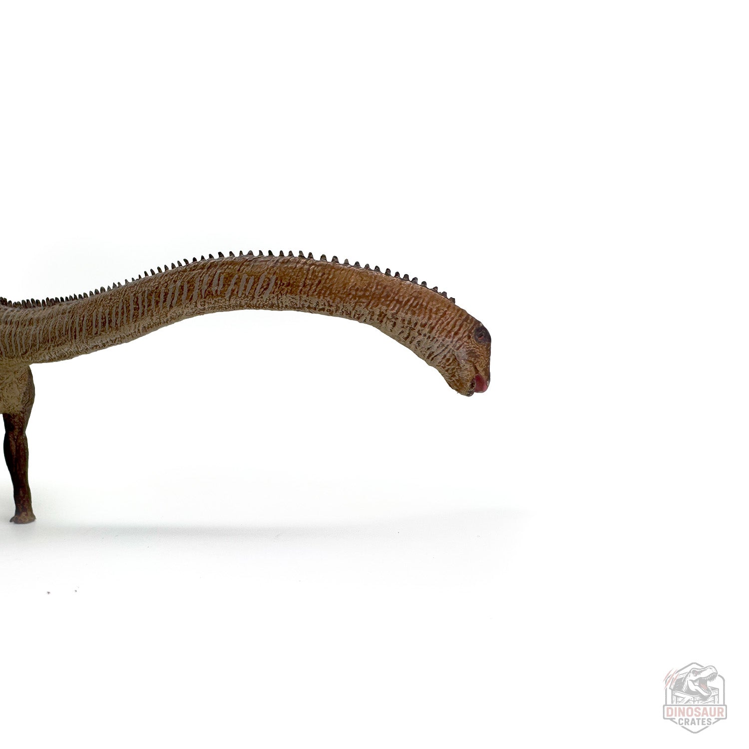 Eofauna Diplodocus Dinosaur Figure