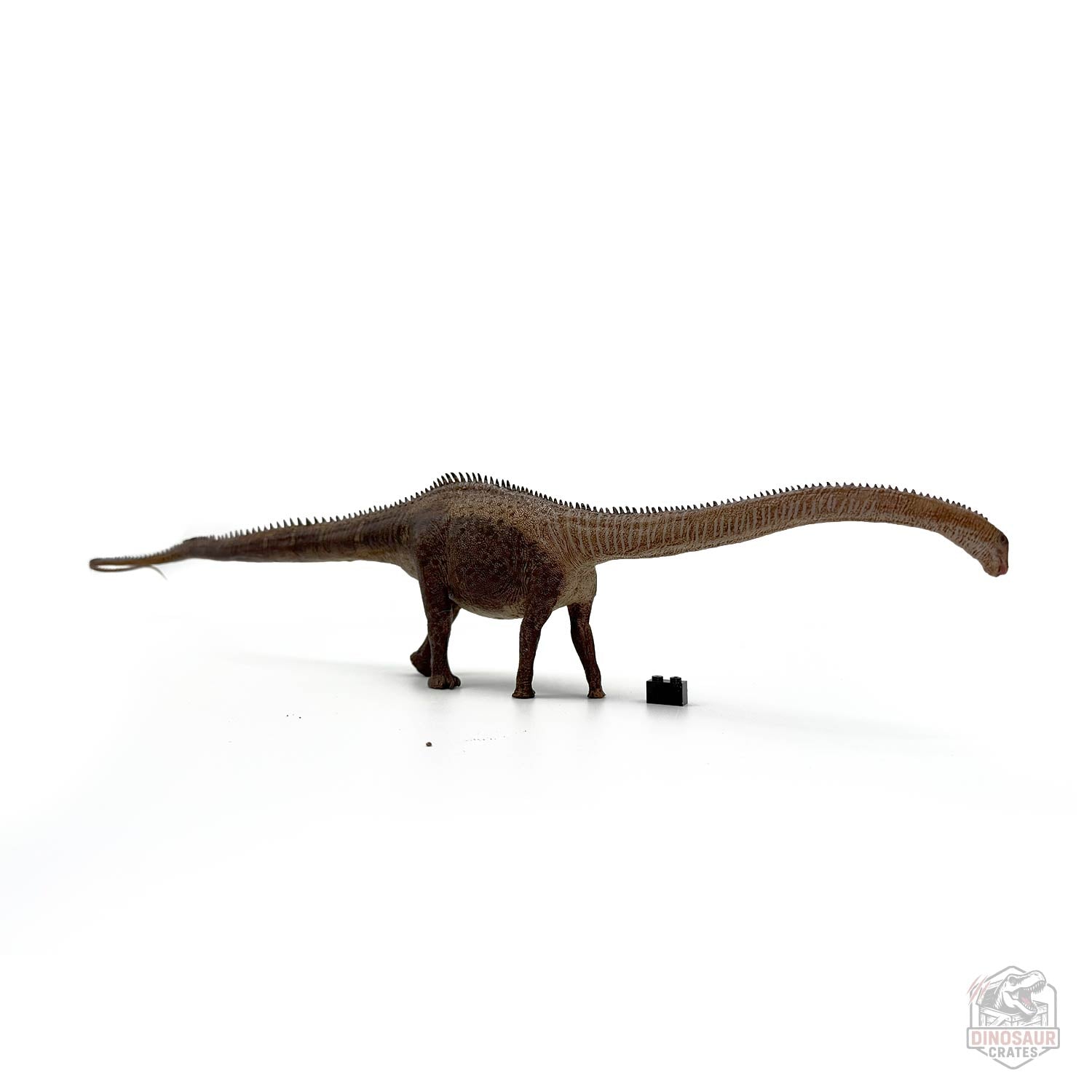 Eofauna Diplodocus Dinosaur Figure