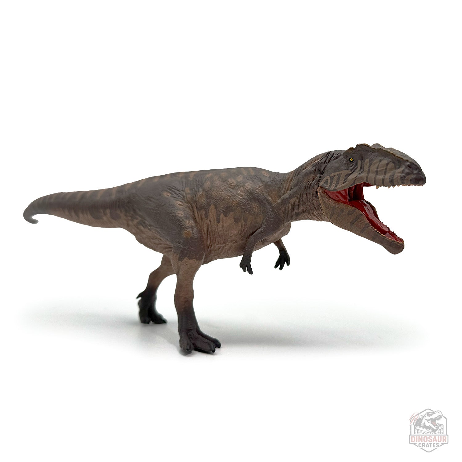 Eofauna Giganotosaurus Dinosaur Figure