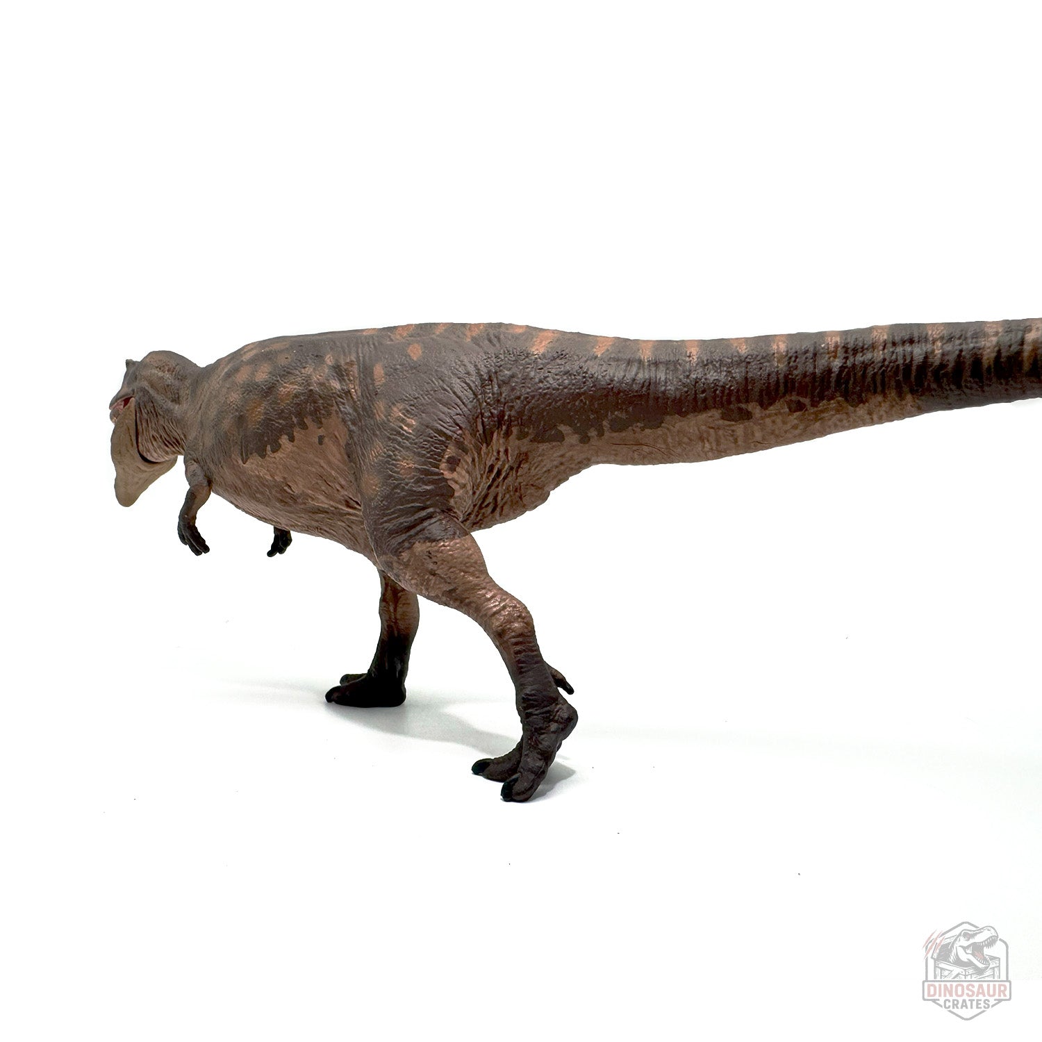 Eofauna Giganotosaurus Dinosaur Figure