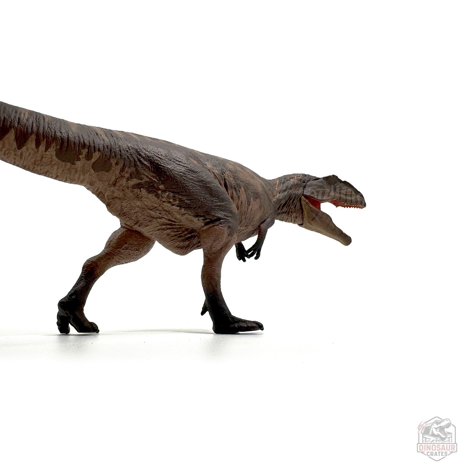 Eofauna Giganotosaurus Dinosaur Figure