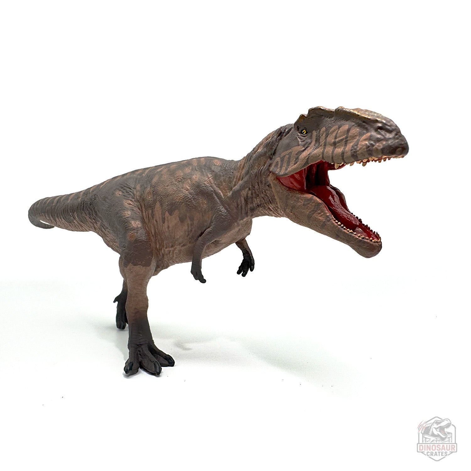 Eofauna Giganotosaurus Dinosaur Figure
