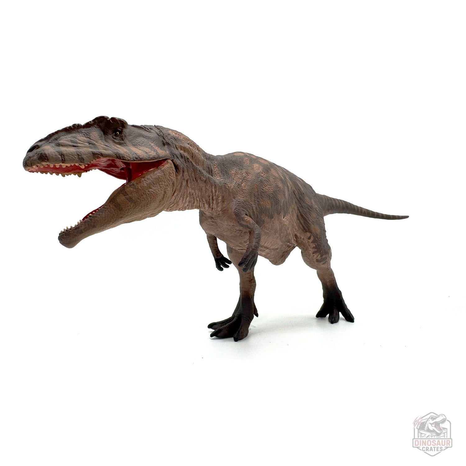 Eofauna Giganotosaurus Dinosaur Figure