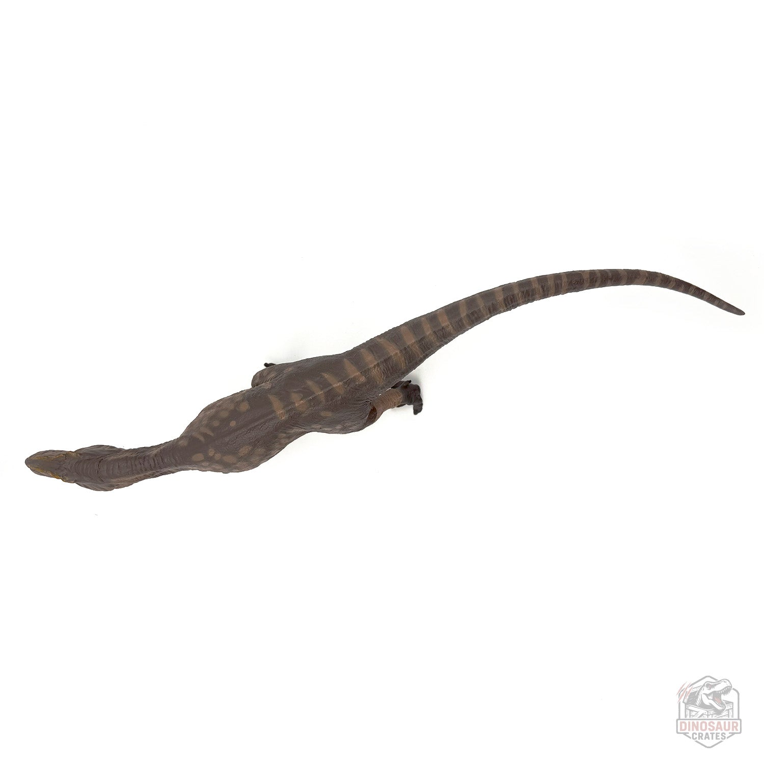 Eofauna Giganotosaurus Dinosaur Figure