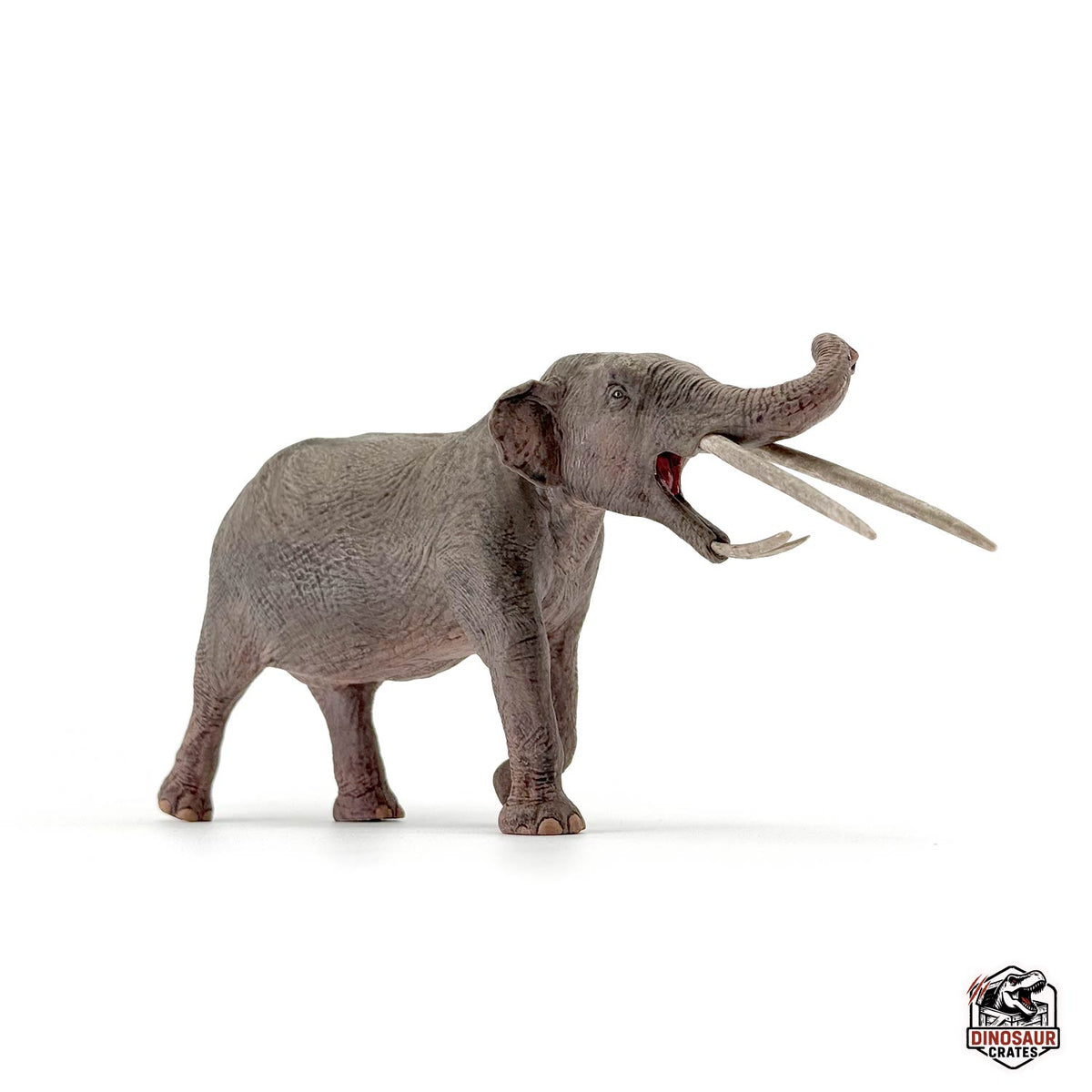 Eofauna Konobelodon Figure