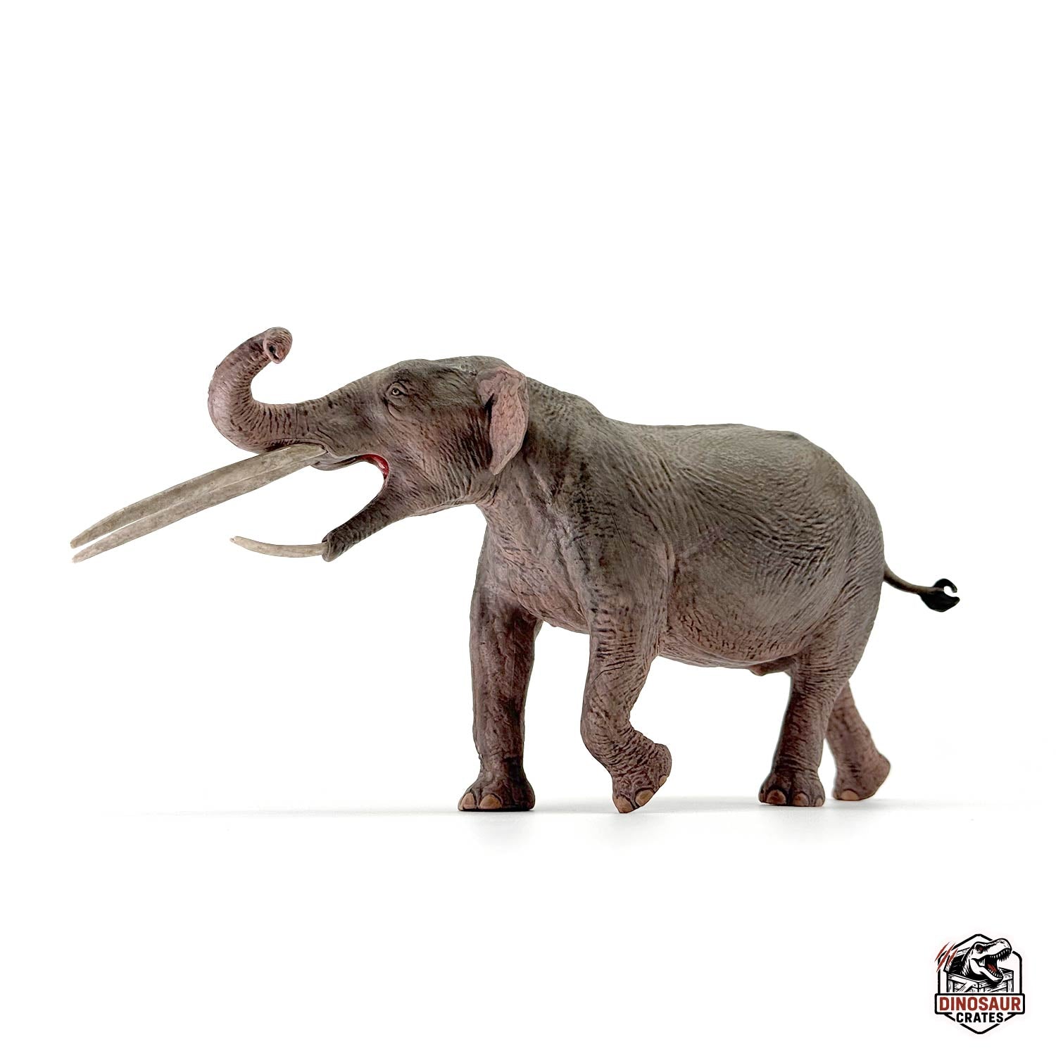 Eofauna Konobelodon Figure