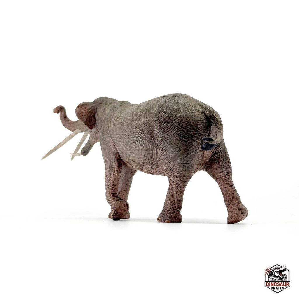 Eofauna Konobelodon Figure