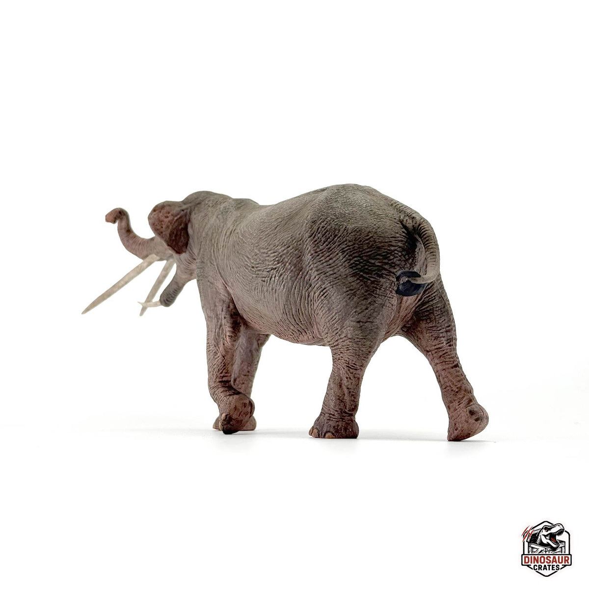 Eofauna Konobelodon Figure