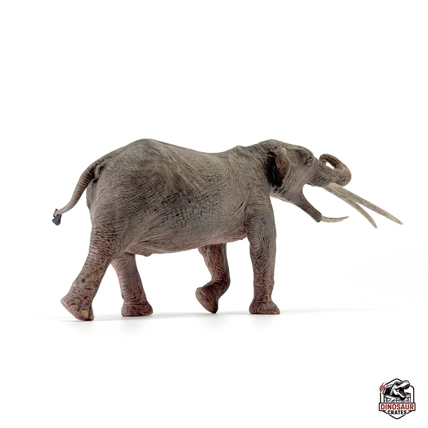 Eofauna Konobelodon Figure