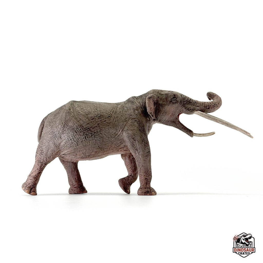 Eofauna Konobelodon Figure