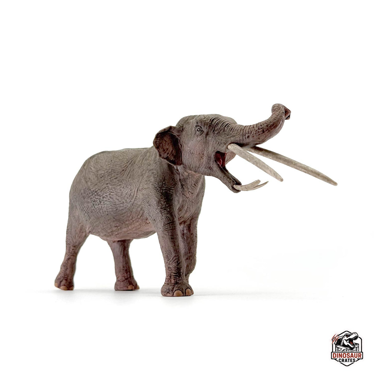 Eofauna Konobelodon Figure