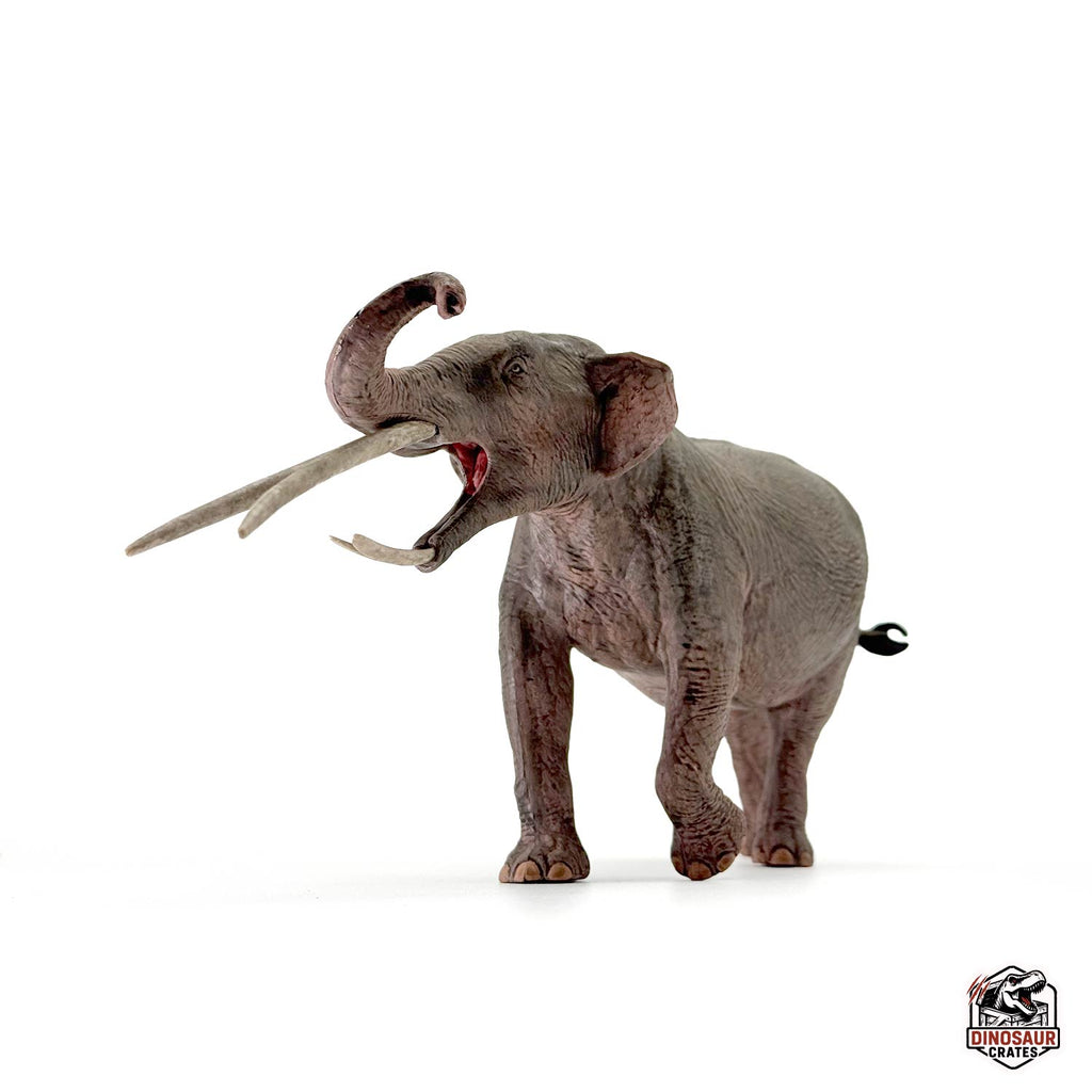 Eofauna Konobelodon Figure