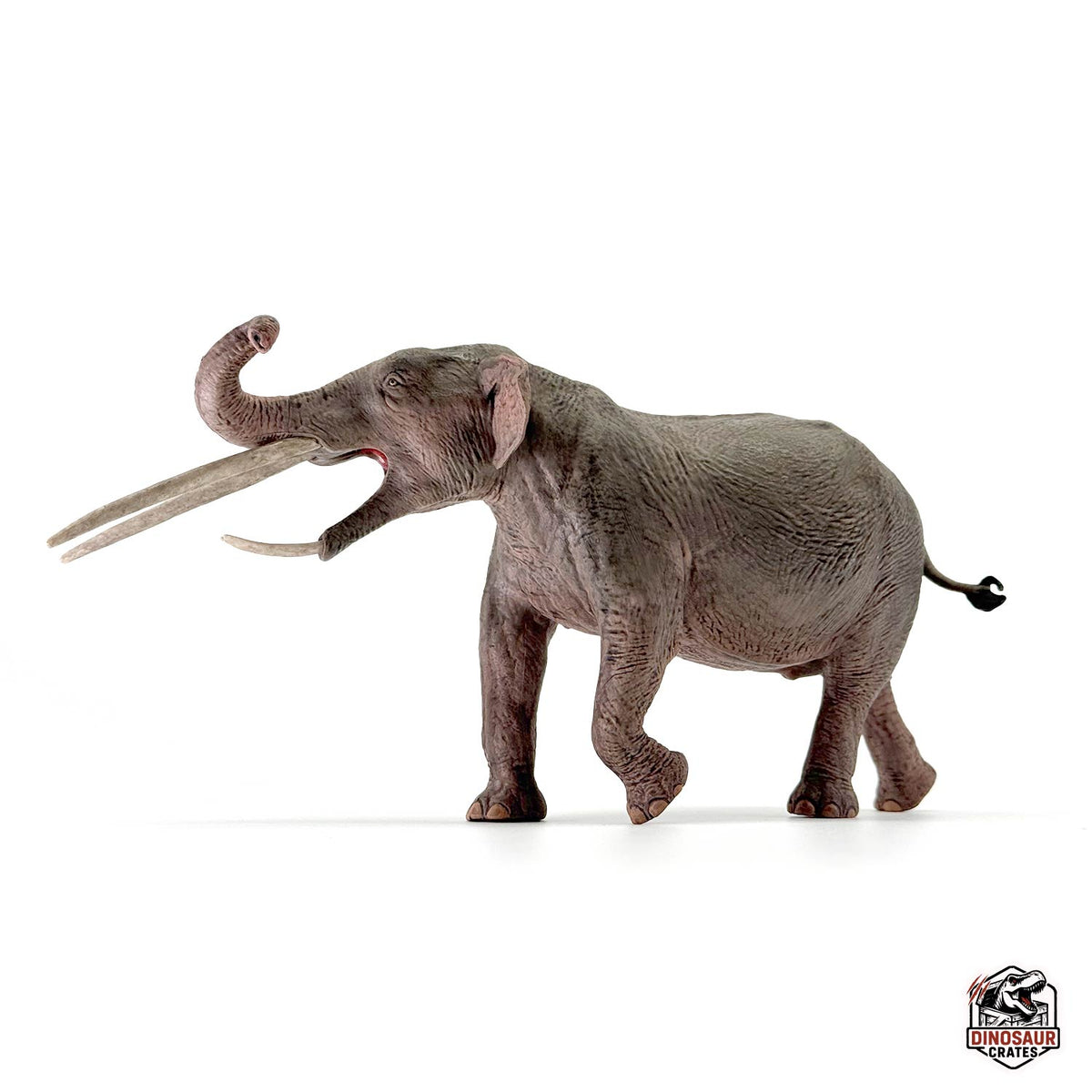 Eofauna Konobelodon Figure