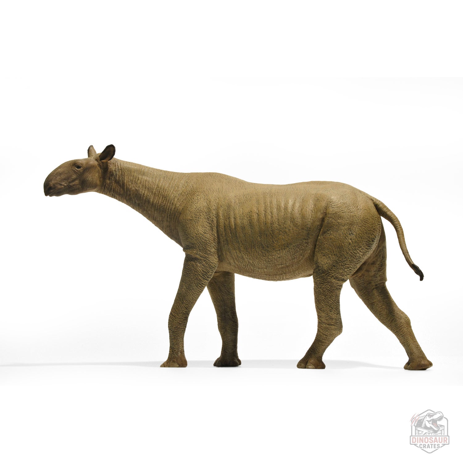 Eofauna Paraceratherium Figure (PRE-ORDER)