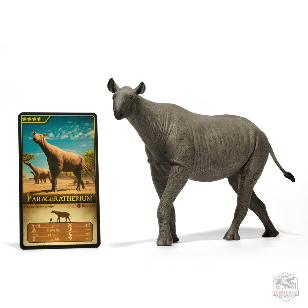 Eofauna Paraceratherium Figure